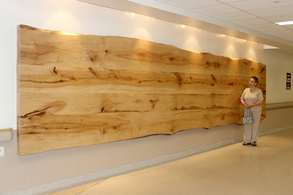 Massive boardroom table top crafted from harvested maple trees at RVH